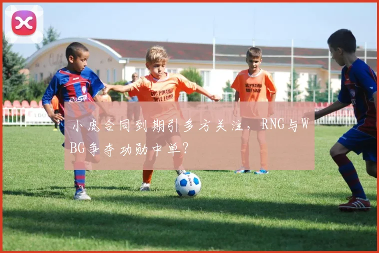 小虎合同到期引多方关注，RNG与WBG争夺功勋中单？