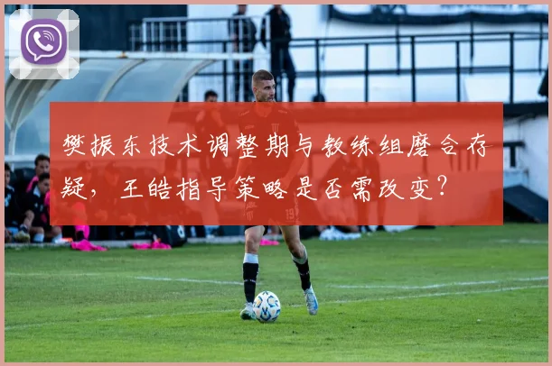 樊振东技术调整期与教练组磨合存疑,王皓指导策略是否需改变?